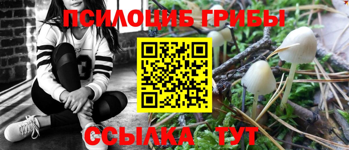 Галлюциногенные грибы Psilocybe  Вход с VPN  Комсомольск-на-Амуре 